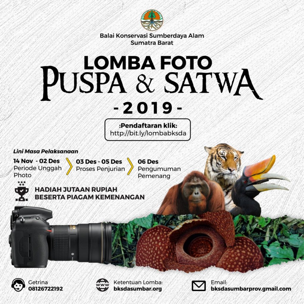 Lomba Foto Hari Cinta Puspa dan Satwa Nasional (HCPSN)
