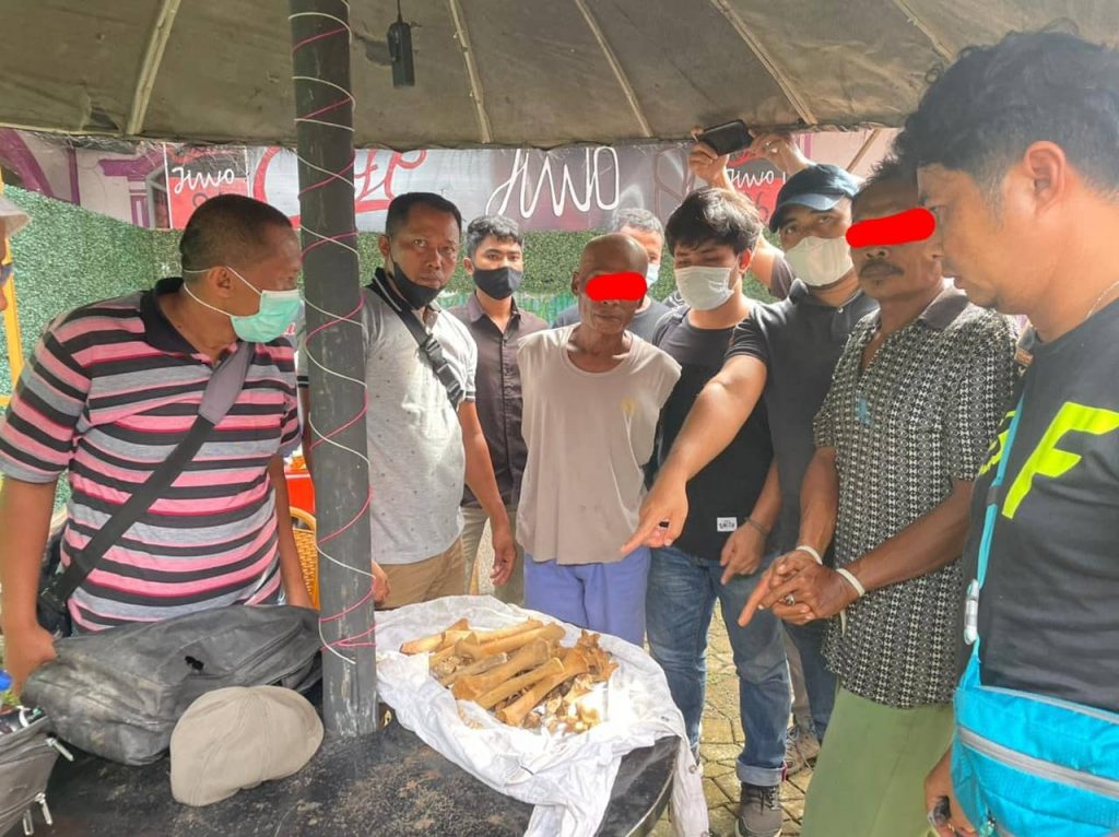 Pengungkapan Perdagangan Bagian Tubuh Satwa Dilindungi  di Pasaman Barat