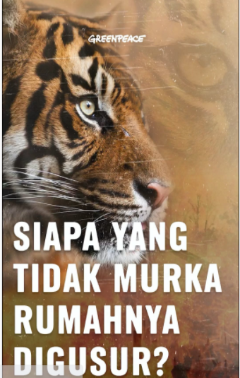 Klarifikasi berita pada Instagram Greenpeace.id