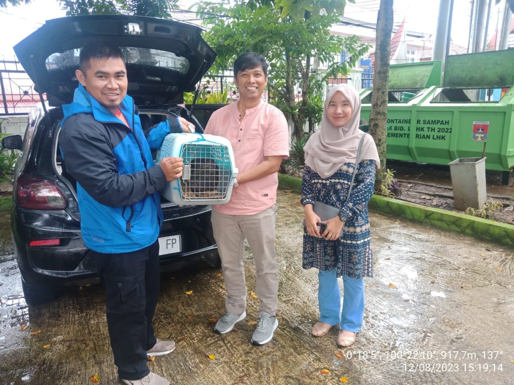 Kepedulian Masyarakat Dalam Menyelamatkan Satwa Yang Dilindungi