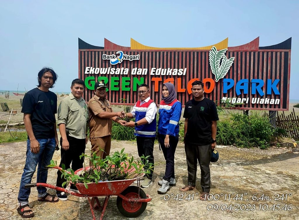 Keren PT. Pertamina Patra Niaga Regional Sumbagut Melaukan Penanaman Pohon Bakau