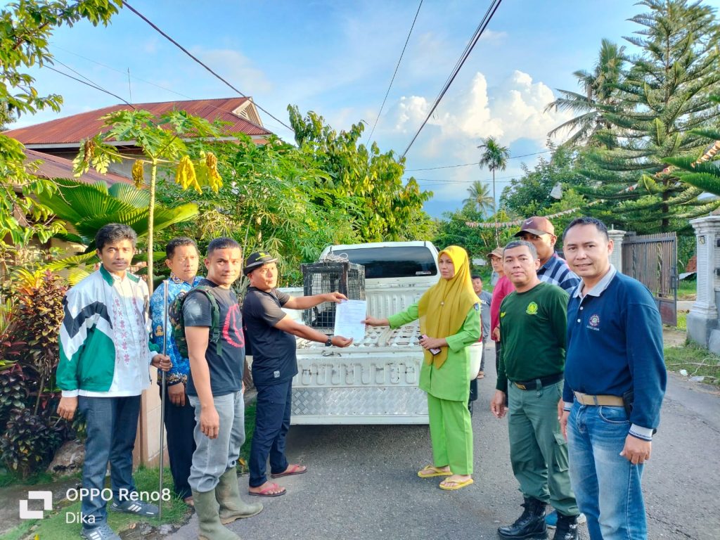 Masyarakat Menyerahkan Satwa Siamang Ke Pada Tim WRU Seksi Wilayah 1