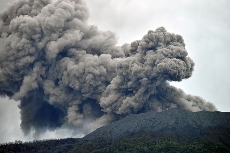 SIARAN PERS ERUPSI MARAPI DI TWA GUNUNG MARAPI