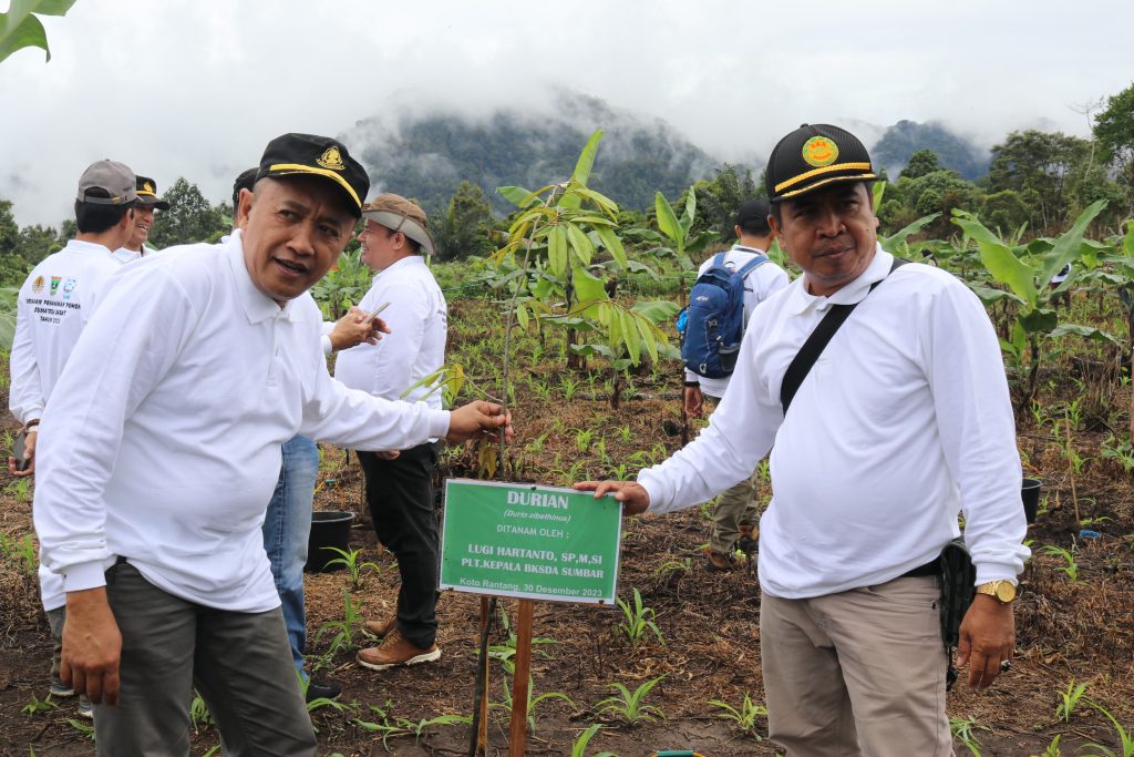 Penanaman Pohon Serentak