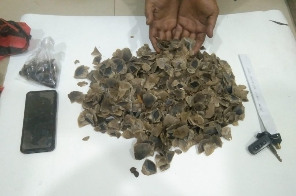 Tim Gabungan TangkapPelaku Penjual Sisik TrenggilingDi Agam