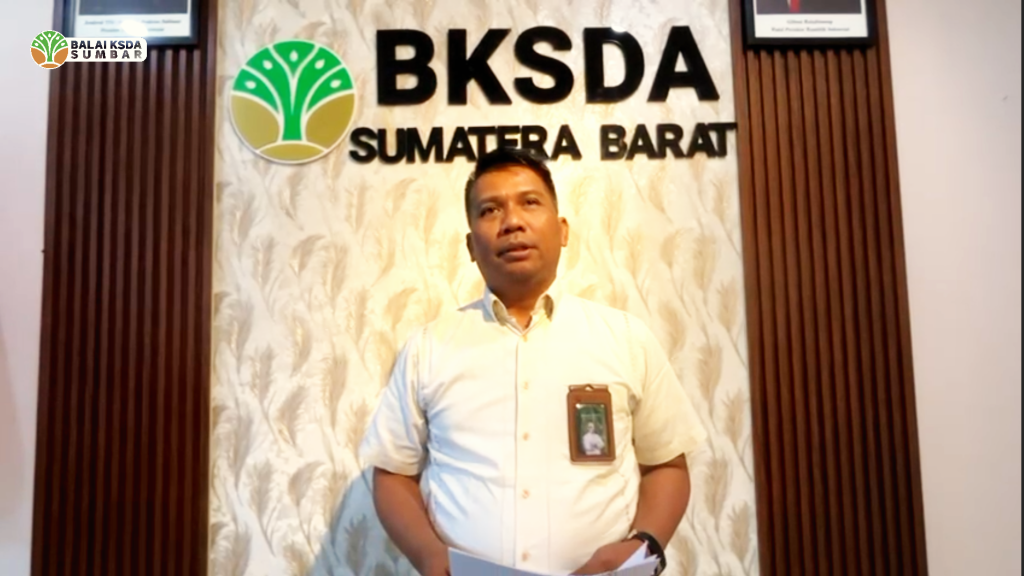 Kematian Bayi Harimau Sumatera