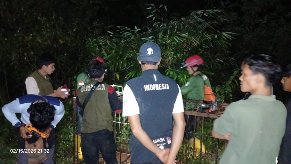BKSDA dan COP Pasang Kandang Jebak untuk Tangani Interaksi Beruang Madu di Nagari Sinuruik