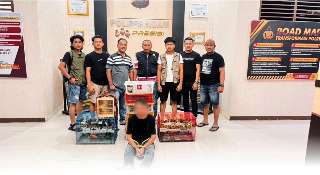 Perdagangkan Ratusan Ekor Burung Antar Provinsi, Pelaku ditangkap Di Agam