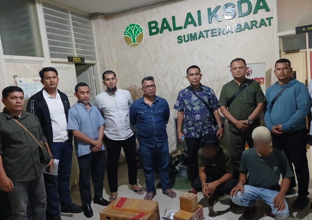 Tim Gabungan BKSDA Sumbar dan Polda Sumbar Gagalkan Penyelundupan 25 Ekor Beo Mentawai di Pelabuhan Bungus