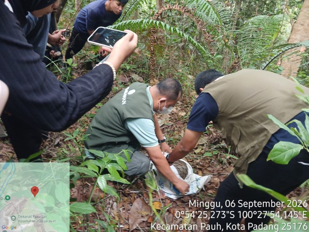 Tingkatkan Kesadaran, Warga Padang Serahkan Satwa Liar Trenggiling ke BKSDA Sumbar