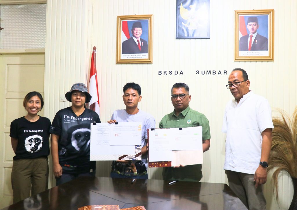 Perkuat Konservasi Primata Endemik, Balai KSDA Sumbar Lakukan Penandatanganan PKS dengan Perkumpulan Malinggai Uma Tradisional Mentawai
